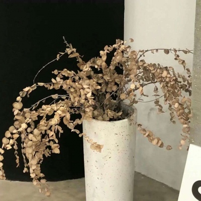 兽设场景透视教程福瑞群